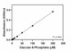 Glucose-6-Phosphate Assay Kit (Colorimetric)