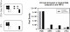 Mouse TGF beta Pathway Phosphorylation Array Typical Results