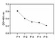 Hela cells were treated with PV for 10 min. Cells were solubilized at 4 x 10<sup>7</sup> cells/mL in Cell Lysate Buffer.