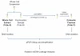 Human Mitochondrial DNA Leakage Relative Quantification Kit Workflow