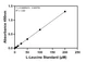 Branched Chain Amino Acid Assay Kit Standard Curve