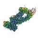 Human Follicle Stimulating Hormone