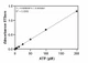 ATP Assay Kit Standard Curve (colorimetric format)
