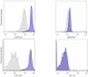 THP-1 exosomes were captured by bead-based immunoprecipitation, stained with dye-conjugated antibodies against specific surface markers, and analyzed via flow cytometry.