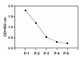 Phospho-AMPKa1 (T183) ELISA Kit