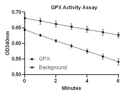 Activity Image