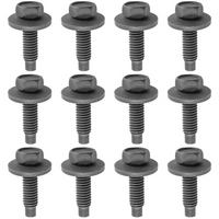 FORD 12-Piece Body Bolt Kit (5/16-18 x 1 3/16")