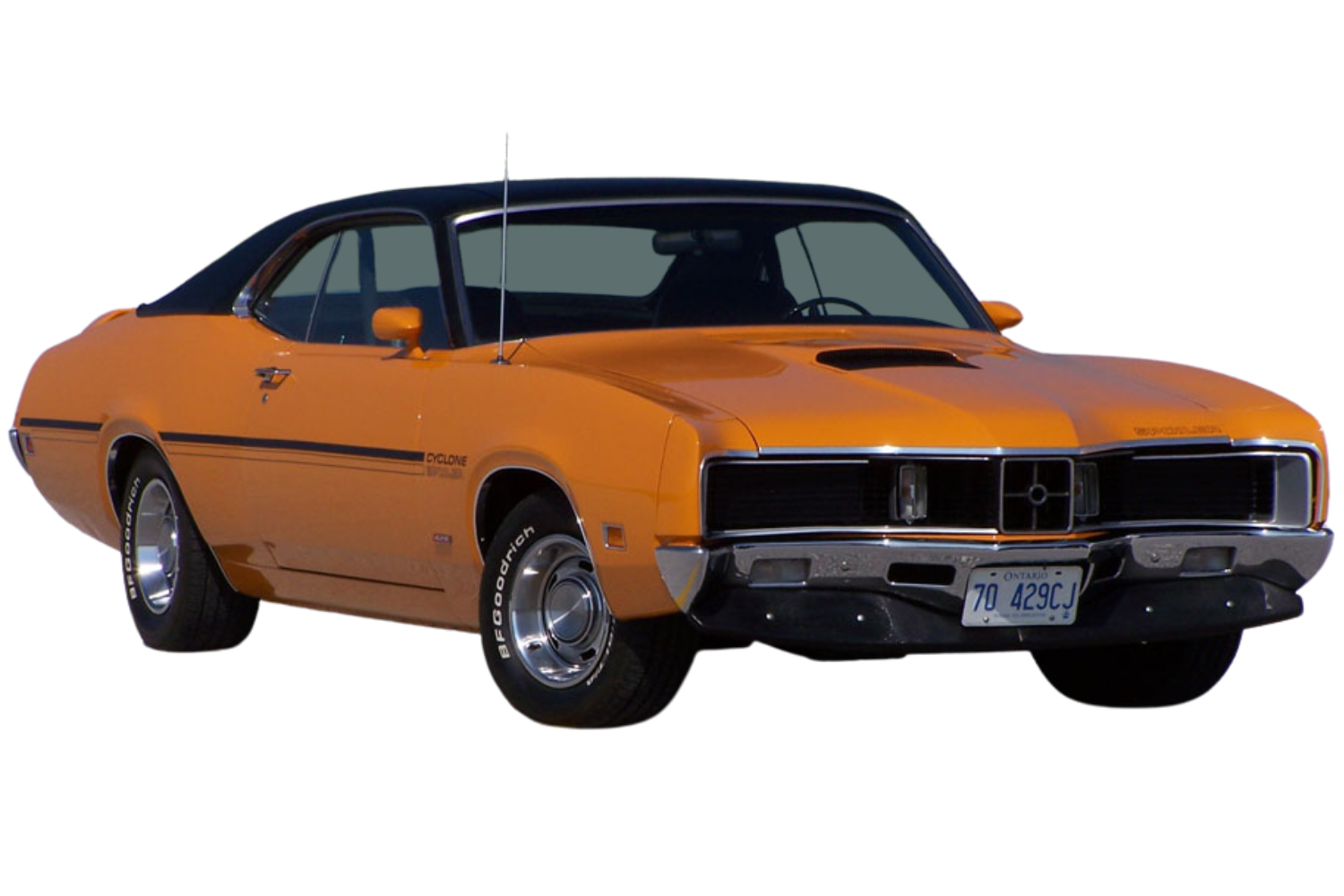copy-of-banner-57-.png