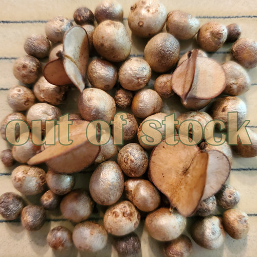 Dioscorea polystachya bulbils