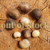 Hog Peanut Amphicarpaea bracteata tubers