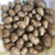 Dioscorea polystachya, dioscorea opposita bulbils, ichoimo form