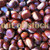 Fresh whole sweet chestnuts for eating