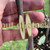 Persimmon grafting