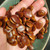 Persimmon Diospyros virginiana seed