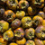 Fresh hybrid persimmon fruit box for sale