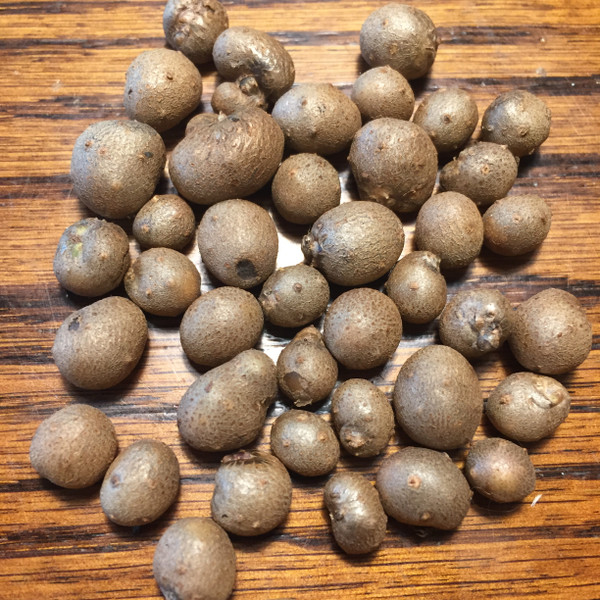 Dioscorea japonica bulbils