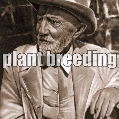 plant breeding