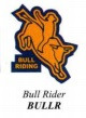 Bull Rider
