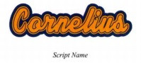 Script Name