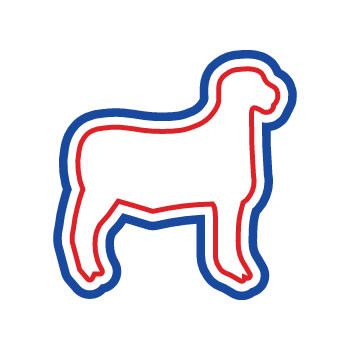 Lamb