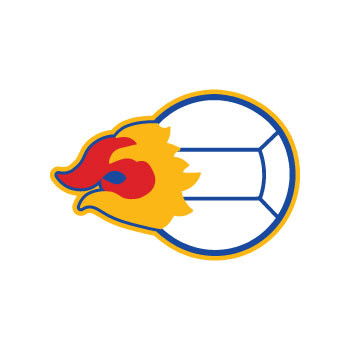 Volleyball w/ Flame