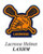 Lacrosse Helmet