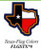 Texas-Flag Colors