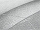 CA1, PA1 (DODGE 1988)
