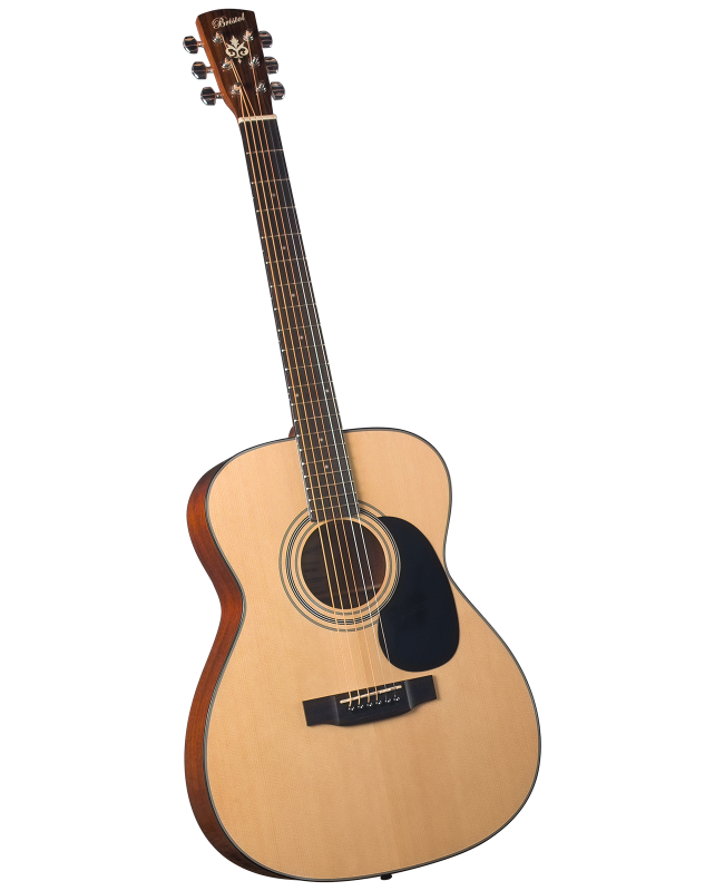 Bristol BM-16 Acoustic Guitar 000 Style by Blueridge - Haight
