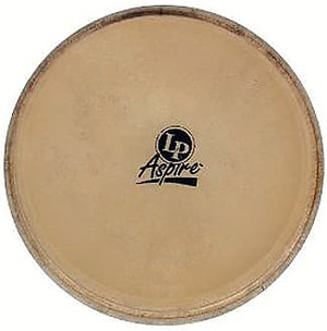 Latin Percussion LP663B City Bongo Replacement Large Bongo Head