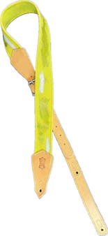 Levy's M35SP-GRN Signature Series 2-Inch Wide Green Cotton Guitar Strap Silicone And Paint Design.