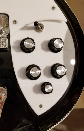 Rickenbacker Lower Pickguard