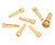Planet Waves Boxwood  Acoustic Guitar Bridge Pins with End Pin Set