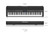 Roland FP-90X-BK Flagship Portable Piano, with Premium Features Throughout, Black Roland FP-90X-BK Flagship Portable Piano, with Premium Features Throughout, Black