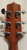 Takamine P1DC Pro-Series Solid Cedar Top Cutaway Acoustic./ Elec. Dreadnought Guitar, CT-4BII Electronics W/C Takamine P1DC Pro-Series Solid Cedar Top Cutaway Acoustic./ Elec. Dreadnought Guitar, CT-4BII Electronics W/C