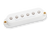 Seymour Duncan STK-S4N Classic Stack Plus Strat Electric Guitar Pickup - Neck, White