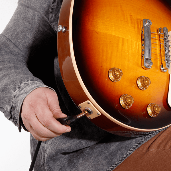 D'Addario PW-AMSGRR-10 American Stage Instrument Cable, Dual Right Angle, 10 feet