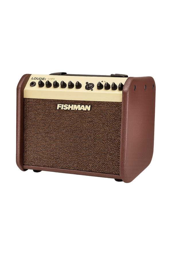 Fishman PRO-LBT-500 Loudbox Mini 60 Watts Acoustic Guitar Amplifier with Bluetooth