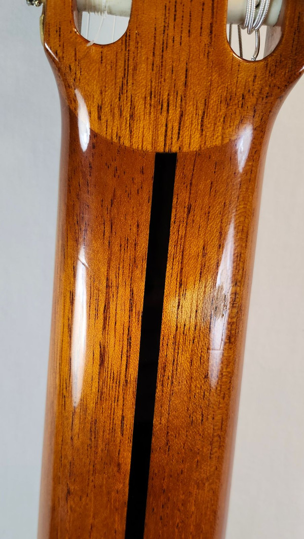 Ramirez Vintage 1975 Class 1A 8-String Classical Guitar, Made in Madrid, w/Paperwork, HSC