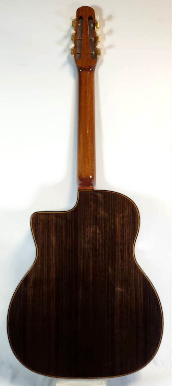 Gitane D-500 D Hole MacCaferri-Style Professional Gypsy Jazz Guitar, Solid Sitka Spruce Top, W/Protour Gig Bag