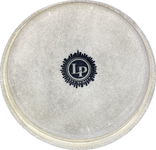 Latin Percussion LP663B City Bongo Replacement Large Bongo Head