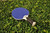 Kettler 4-Player Outdoor Ping Pong Bundle - paddle view 4