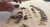 California House Atherton Shuffleboard Table - view 5