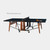 RS Folding Indoor/Outdoor Ping Pong Table