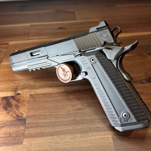 Nighthawk Agent 2 Gov. 9mm w/IOS RMR plate - Complete Black DLC Finish