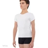 Wear Moi Conrad Boy's Short Sleeve T-Shirt - White