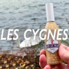 Les Cygnes - Pointe Shoe Shellac
