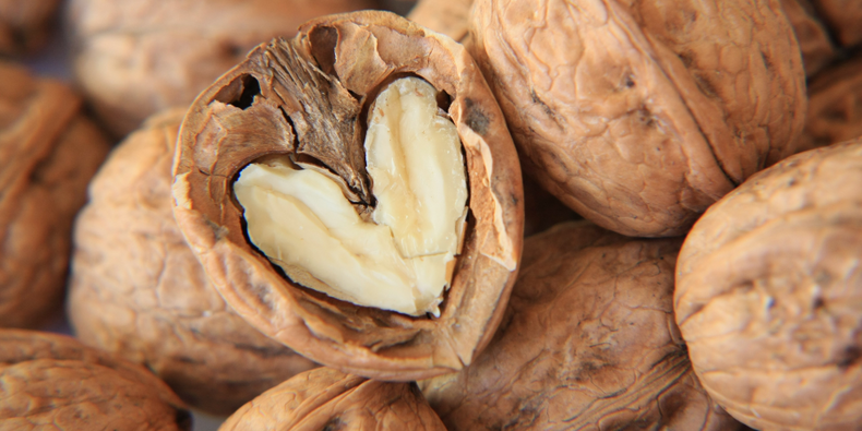 Perché gli acidi grassi sono importanti per una dieta equilibrata?