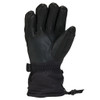 Polar II Down Glove