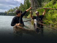 Kenai Report